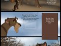 outcast_p14_by_savu0211-d45nljk.jpg